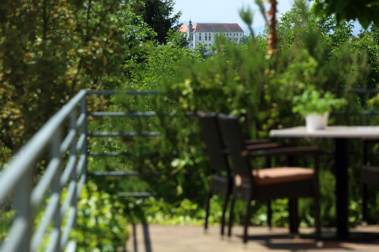 Sobe Grabar Bed and Breakfast Ptuj Eksteriør billede
