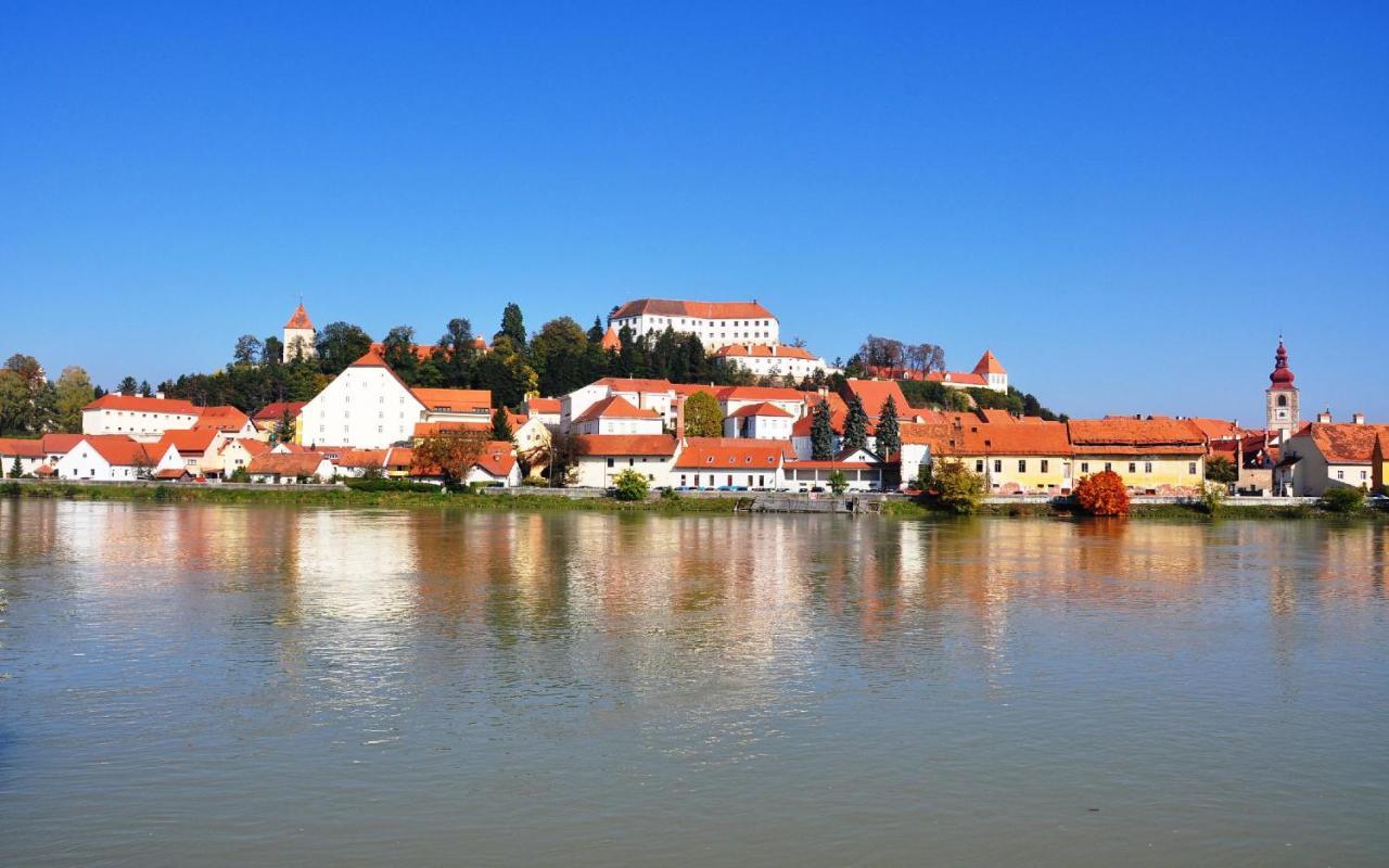 Sobe Grabar Bed and Breakfast Ptuj Eksteriør billede